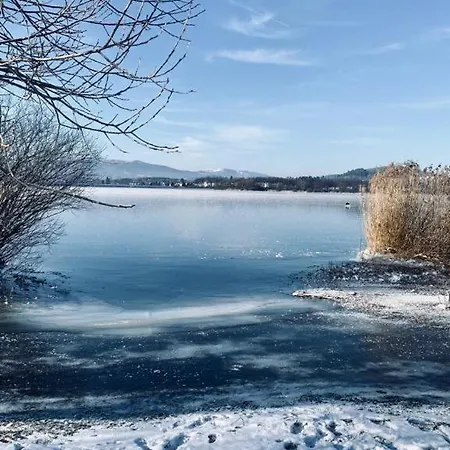 Lipenka Cerna v Posumavi