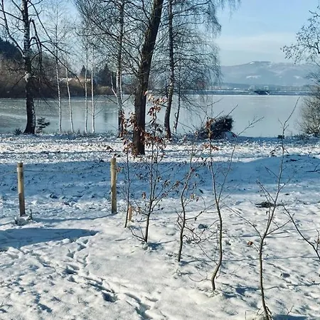 Lipenka Cerna v Posumavi