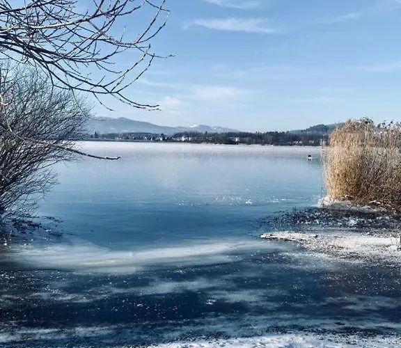 Lipenka Černá v Pošumaví