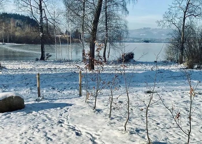 Lipenka Černá v Pošumaví